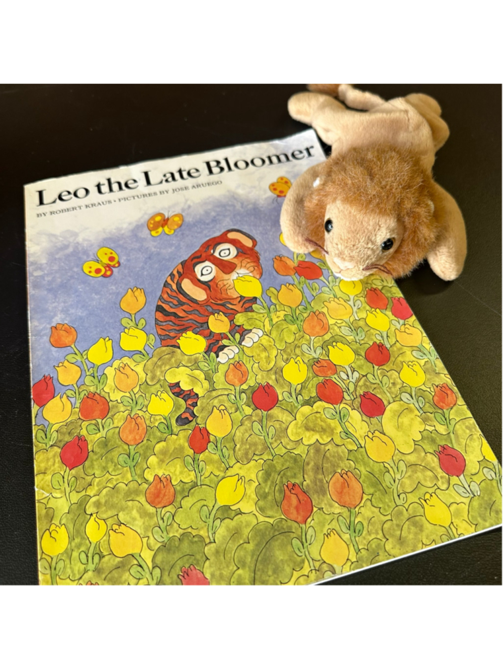Leo the Late Bloomer Book + Lion Plush Kids Reading Buddy Nostalgic Bundle